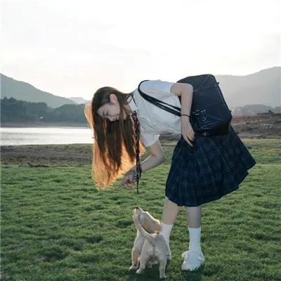 丽兹与迪克