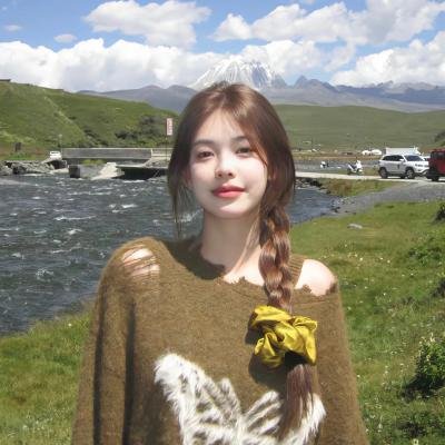 警察与女兵国语